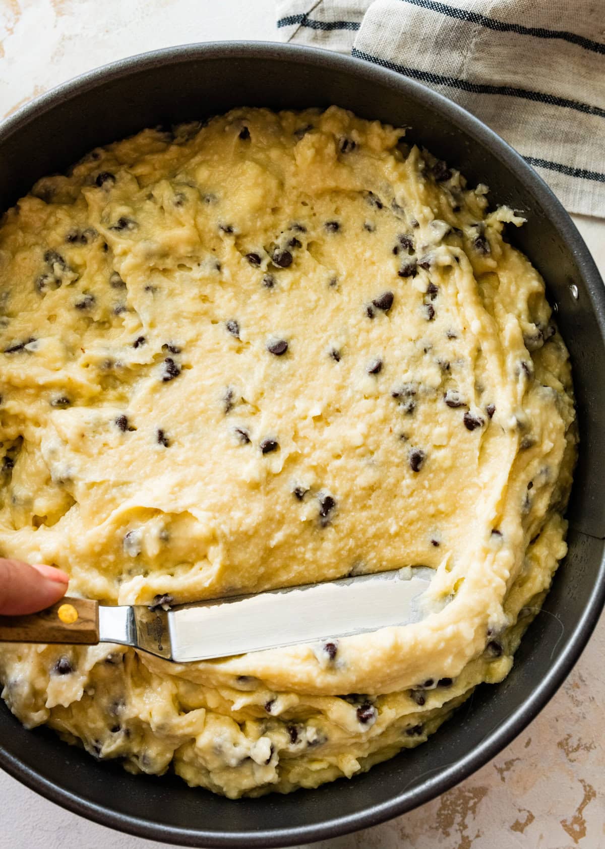 How to make chocolate chip ricotta cake- add the prepared cake batter to a greased spring form pan.