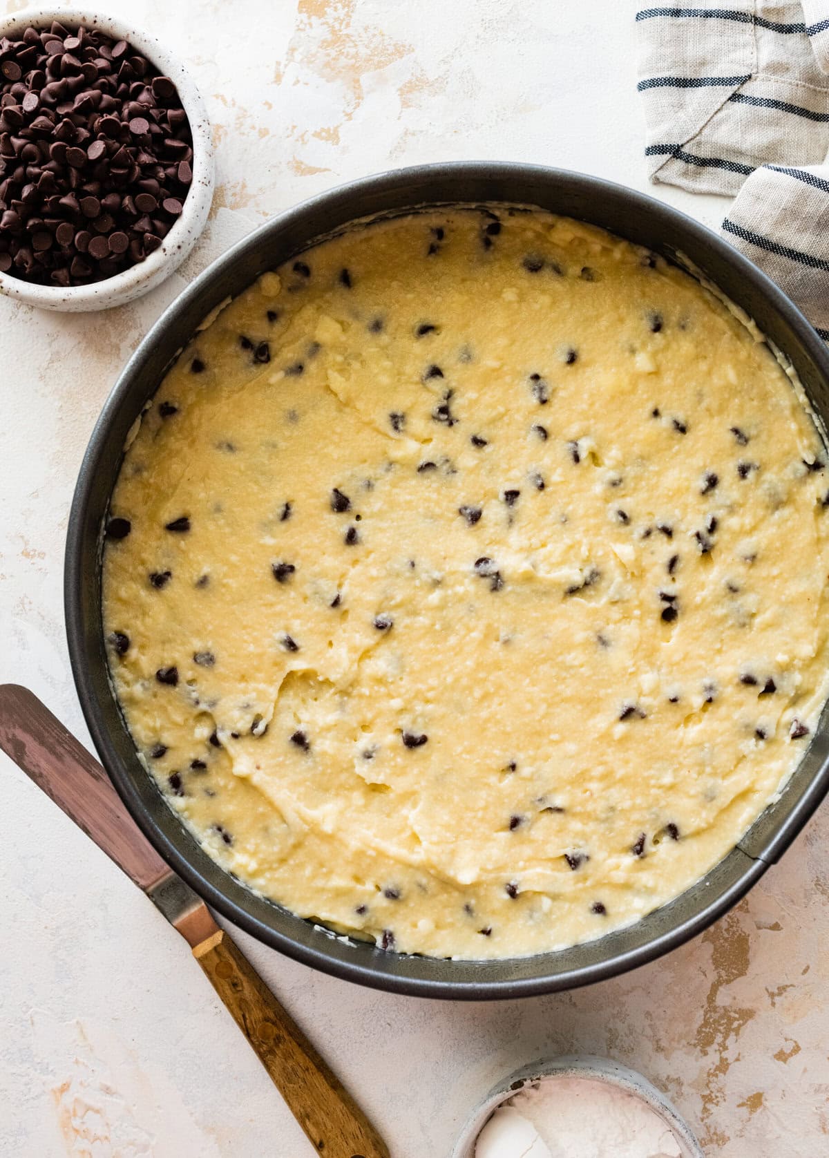 How to make chocolate chip ricotta cake- add the prepared cake batter to a greased spring form pan.
