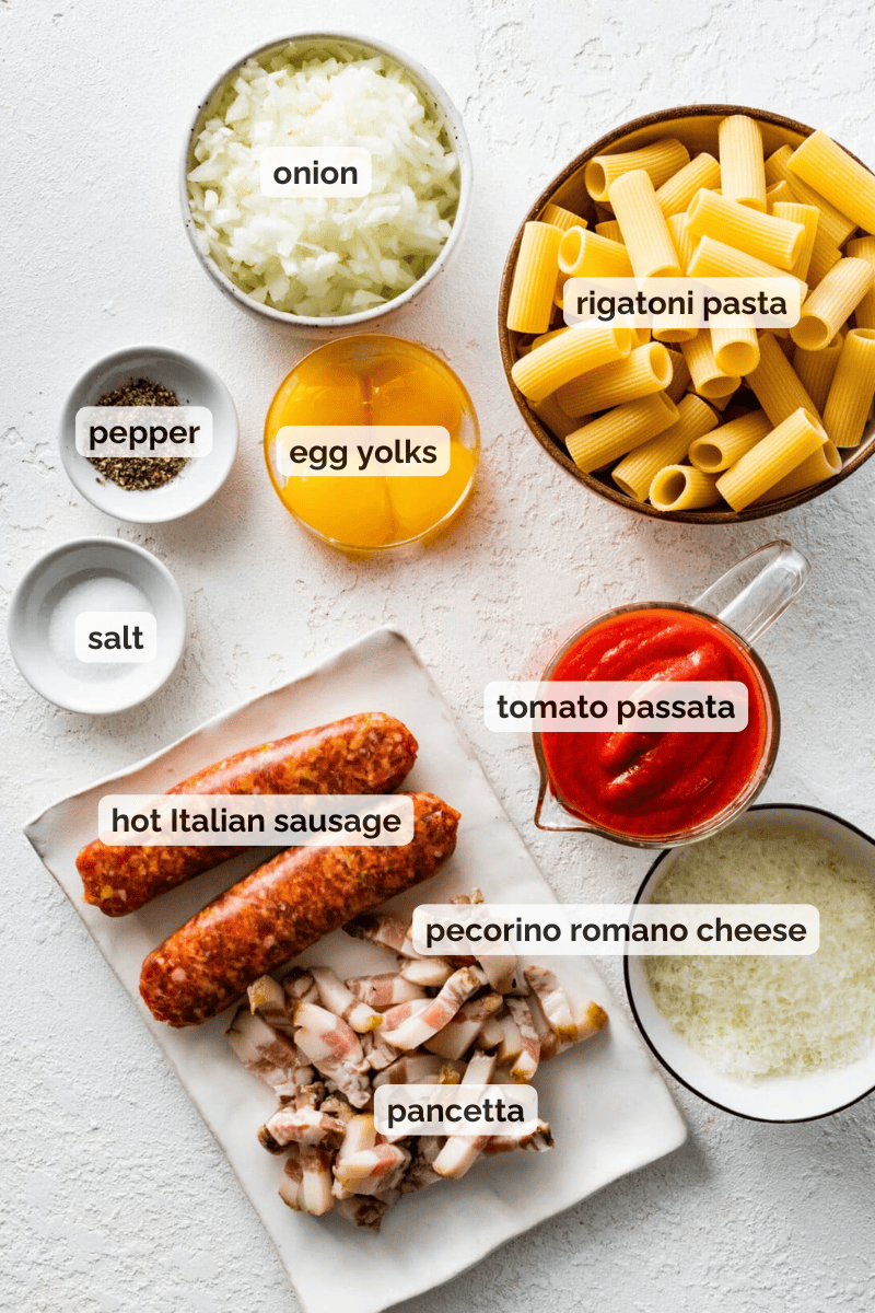 Recipe ingredients for Pasta alla Zozzona recipe.