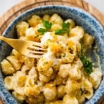Fork with some cheese pasta with panko topping.