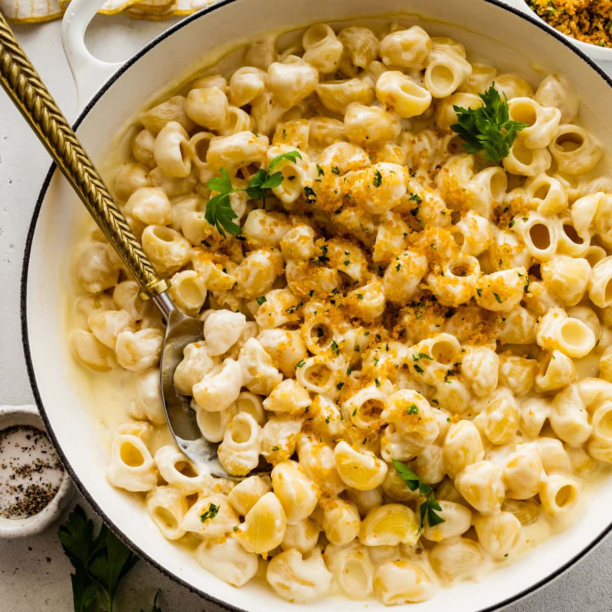 Easy Cheese Sauce Pasta Recipe (White Sauce) - Cucina by Elena