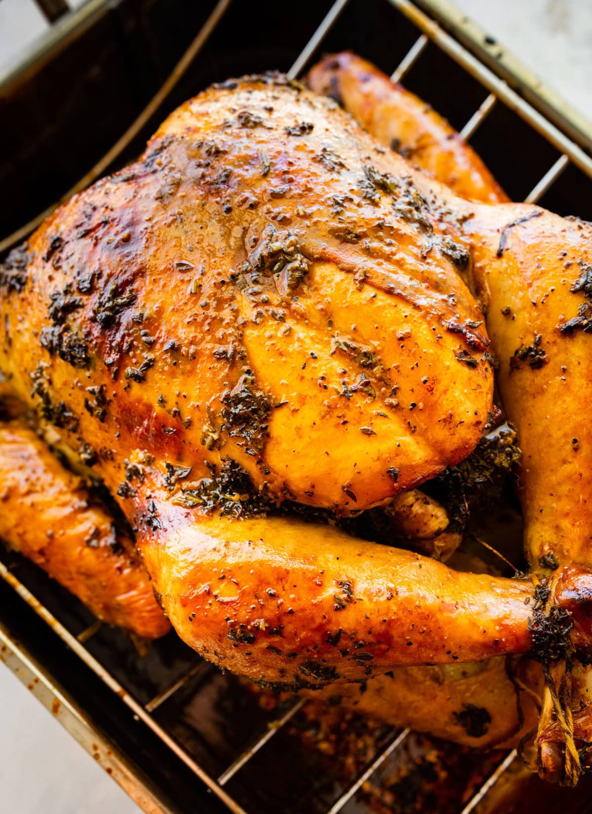 How to make a Thanksgiving turkey recipe step-by-step: turkey in the roasting pan after it is baked. It is golden brown with herbs on top.