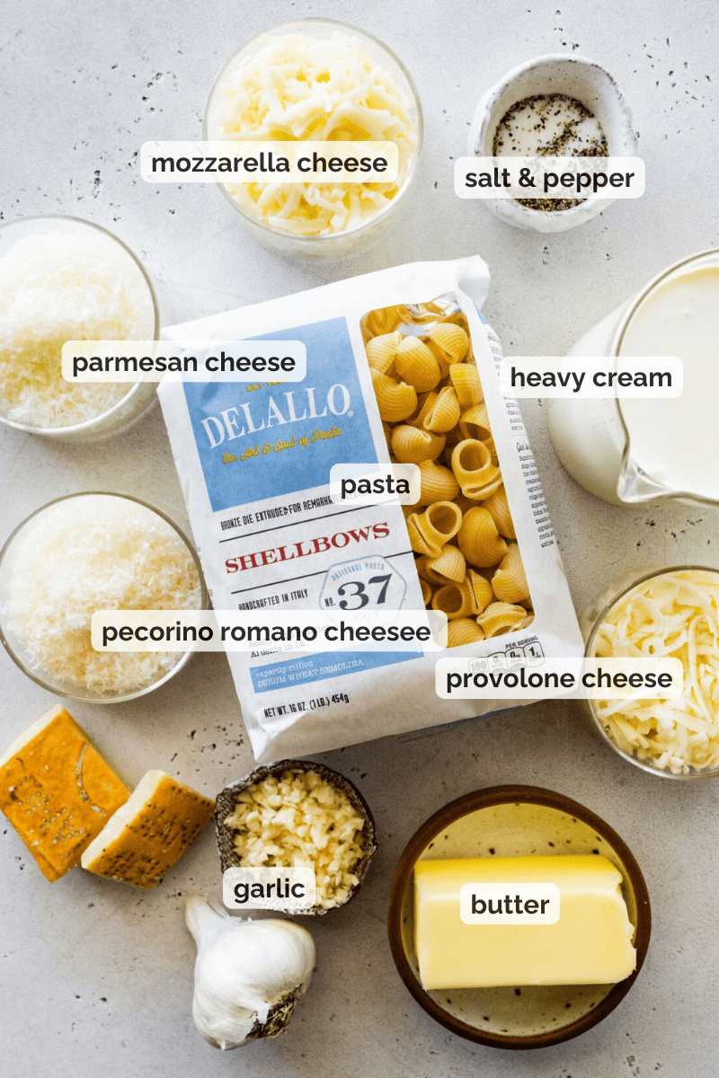 Recipe ingredients for cheese sauce pasta recipe.