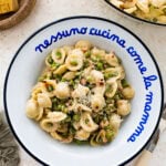 a blue and white Italian style plate with a portion of the creamy pasta with pancetta and peas. Extra cheese and red pepper flakes on top.
