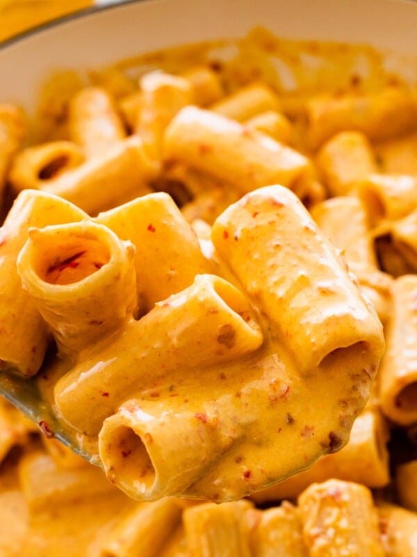 Nduja pasta sauce and pasta in a serving dish Large spoon holding one serving of pasta.