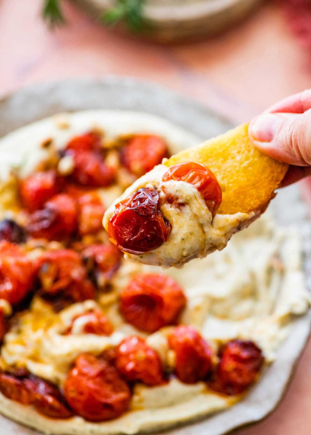 hand holding crostini with white bean dip and tomatoes on it.
