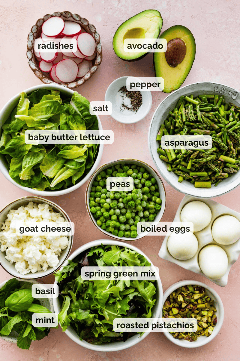 Recipe ingredients for spring salad recipe.