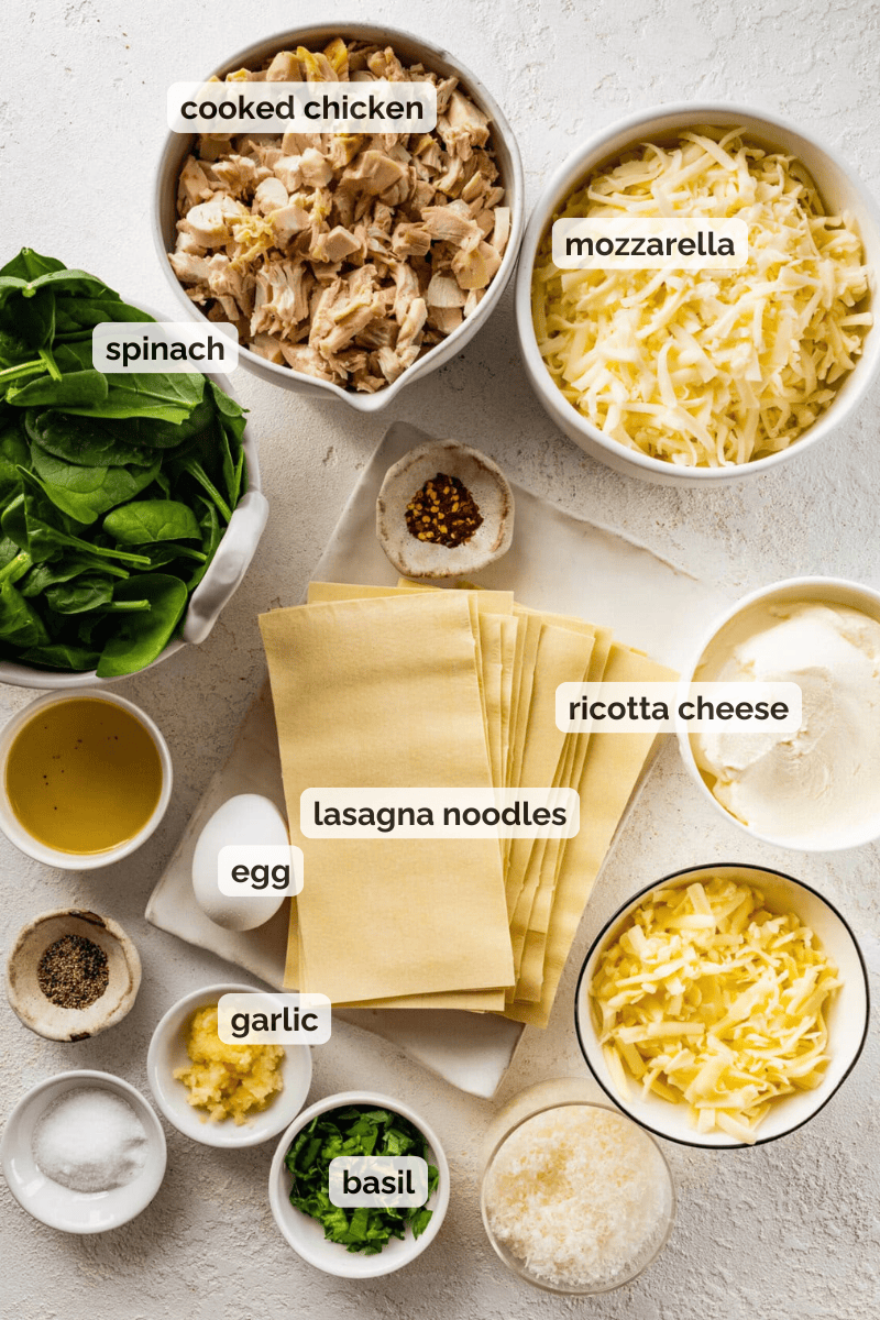 Recipe ingredients for white chicken lasagna recipe.