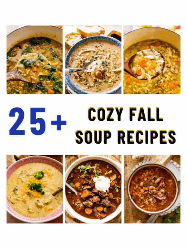 Hearty soup recipes with vegetables, beef, and chicken for cozy fall meals. Perfect comfort food for chilly days.