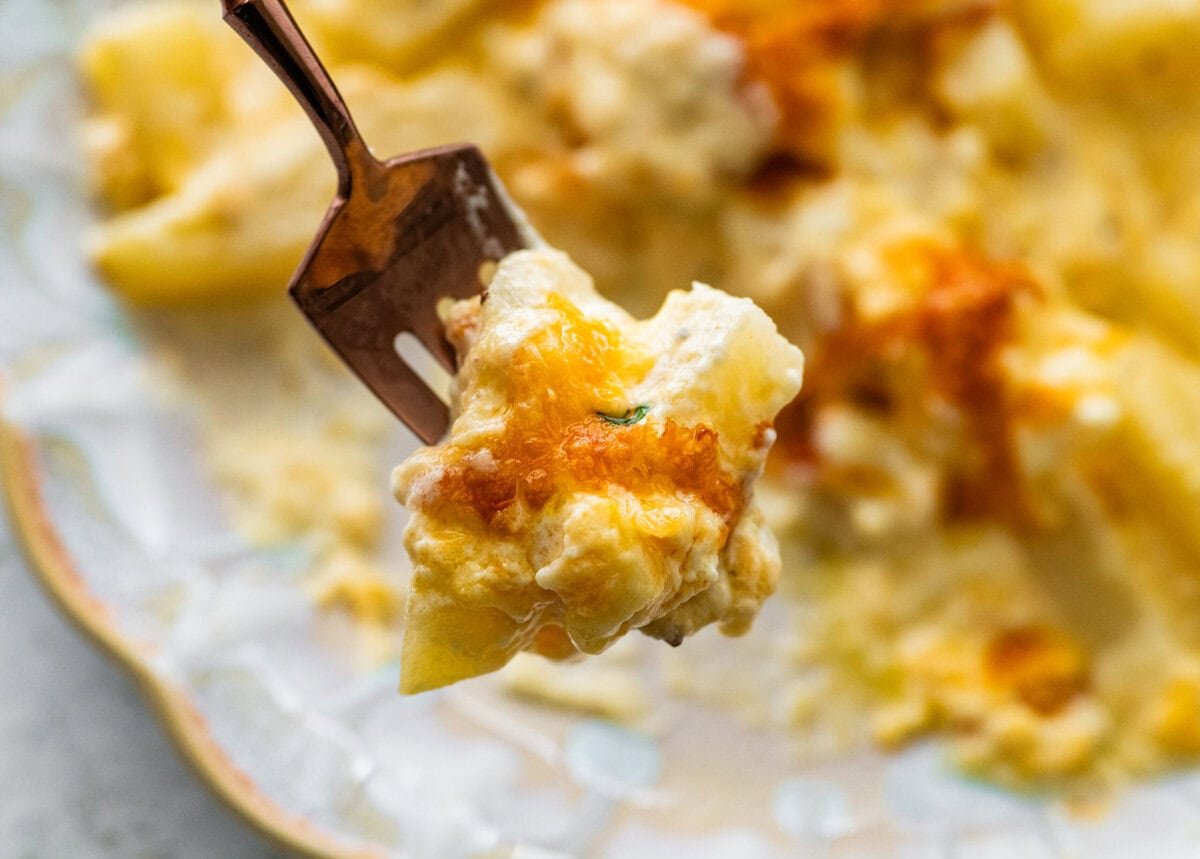 cheesy potatoes on a white plate with lots of cheesy sauce. Bite on a fork ready to eat.