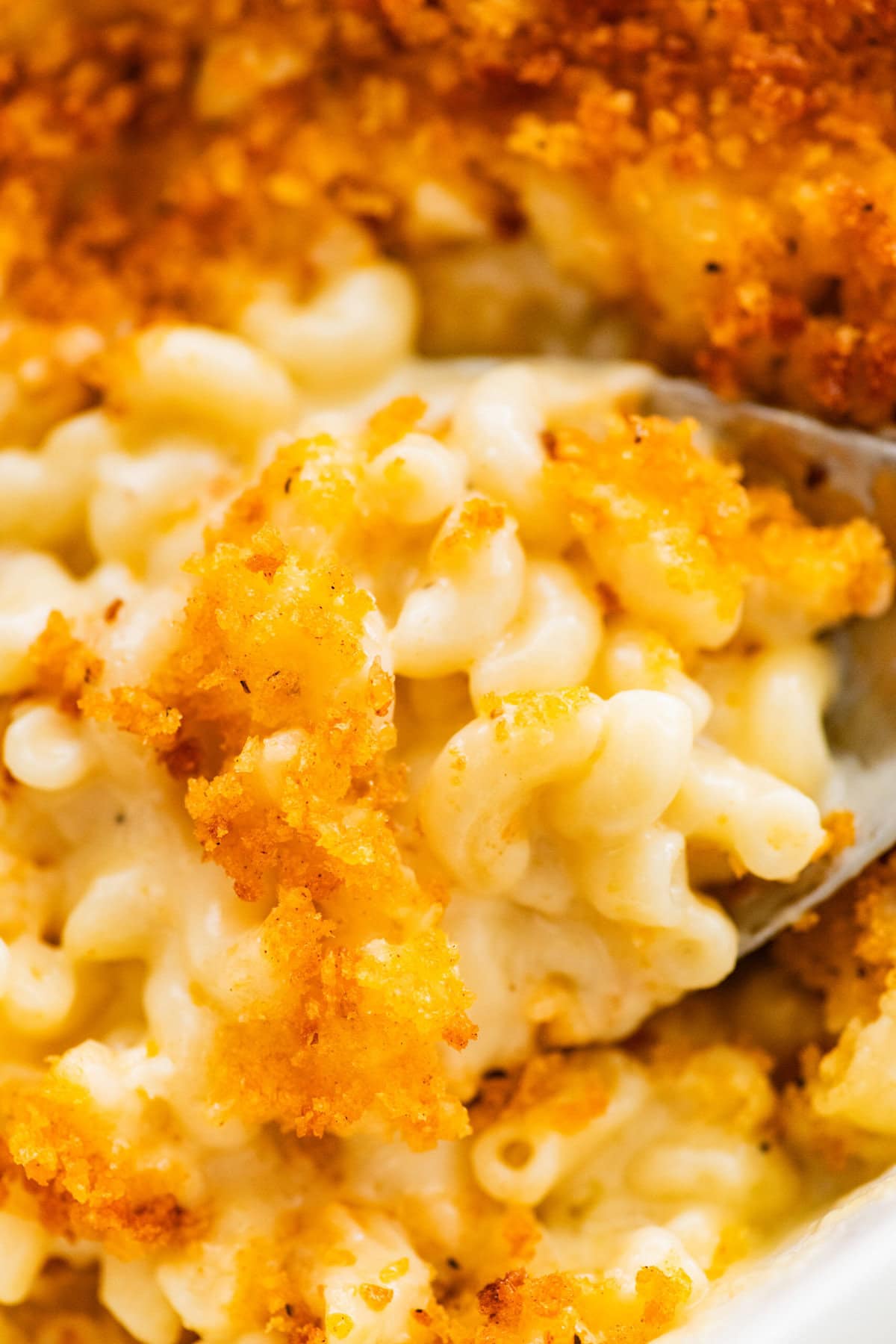 creamy baked mac and cheese in a pan with a serving spoon.