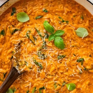 Pot of creamy chicken orzo garnished with basil, with a spoon resting in the pot.