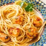 A single serving of scallop pasta on a plate with garnish.
