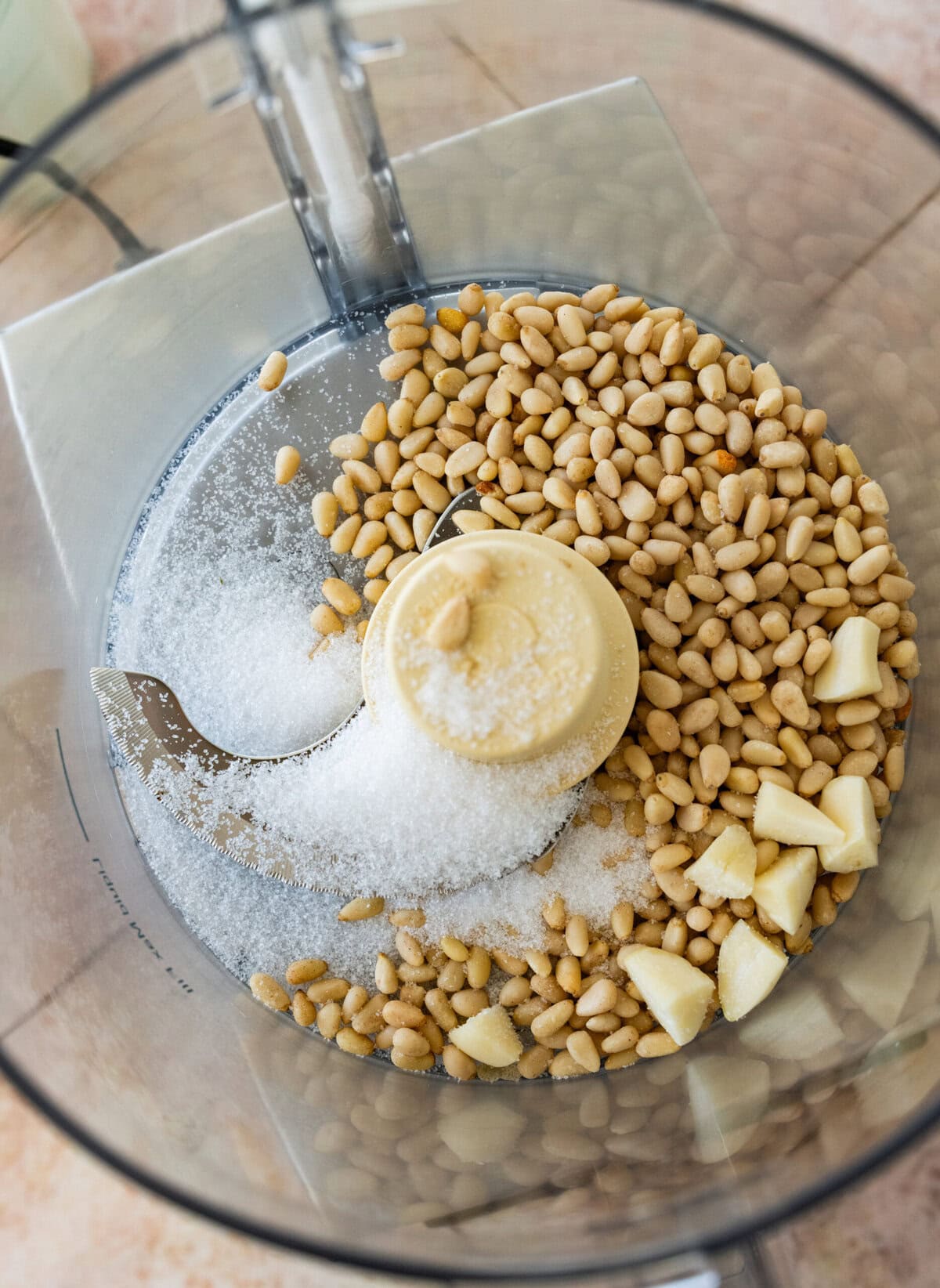 pine nuts, salt, and garlic in a food processor before pulsing.