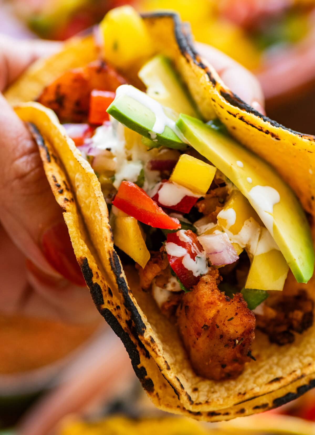 a fish taco held up to show toppings.