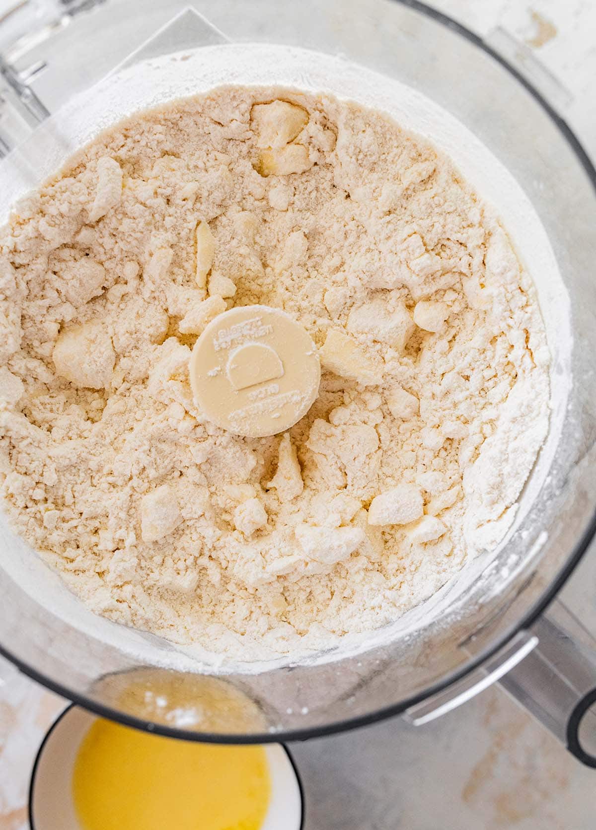 pulsed flour, butter, and salt mixture in a food processor.
