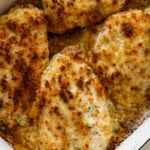 parmesan crusted chicken in a pan after baking and broiling.